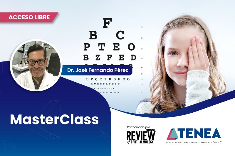 masterclass 800x533 accesolibre web