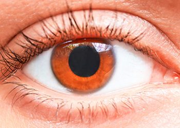 El manejo de la superficie ocular en cirugía corneal y de cristalino