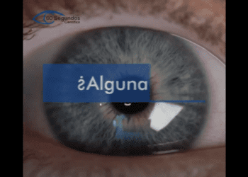 Tipos de oclusiones venosas retinianas y cuales deben panfotocoagularse
