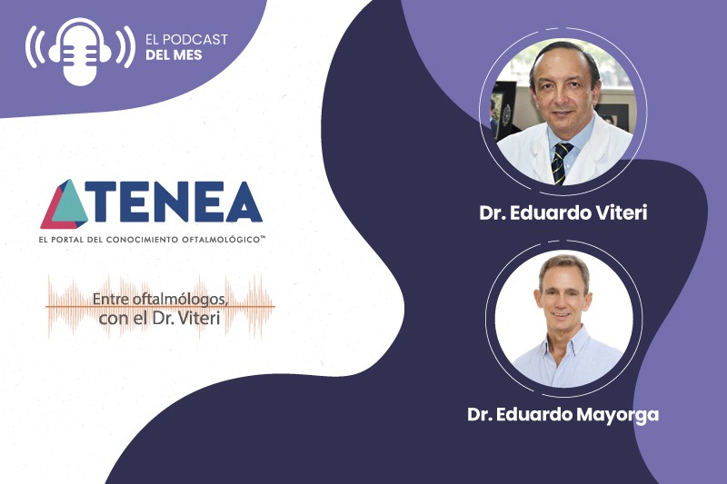 webinars 800x533 web