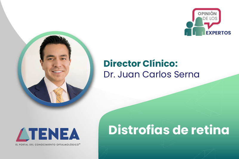 img prom distrofias de retina web