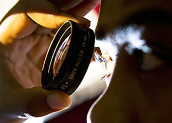 Un nuevo estudio revela cómo la IA puede ayudar a detectar la retinopatía diabética en niños y adultos jóvenes