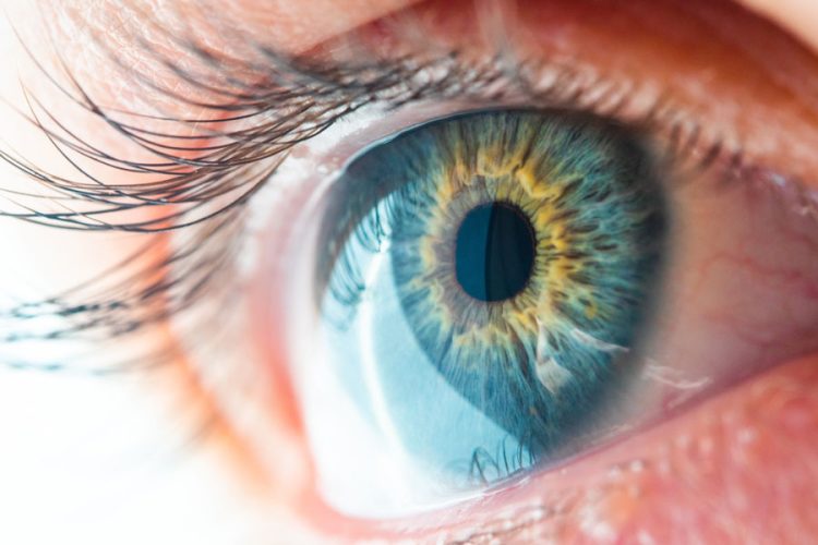 Fotosensibilizadores, qué son y cómo previenen el trasplante de córnea