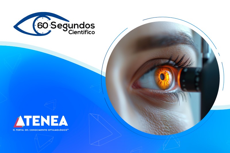 img promocional que tan buenas son las consultas de retina por ia web 800x533