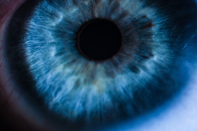 Quimioembolización intravascular con Mitomicina C: Una nueva terapia para tratar la neovascularización corneal