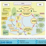 05galeria nota4 110226 oald